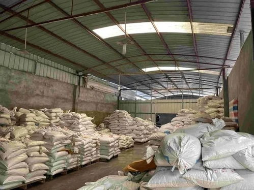 貨物危險(xiǎn)性鑒定書 普通貨物鑒別中心